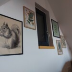 Képek (by Mécs Eszter Home & Art)