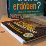 Még több olvasnivaló